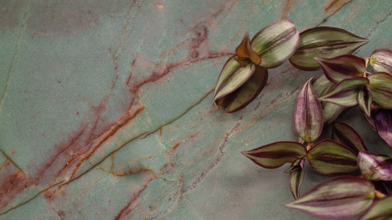Pietre Naturale Boutique